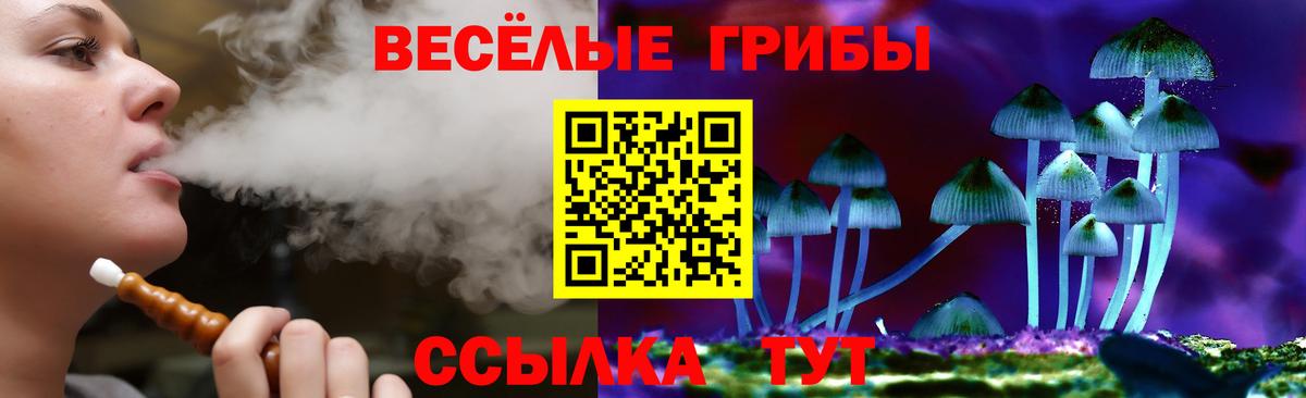 Ртищево  Галлюциногенные грибы Magic Shrooms  даркнет сайт  Вход с VPN 